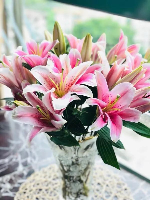 春暖花开之时捧一束百合回家