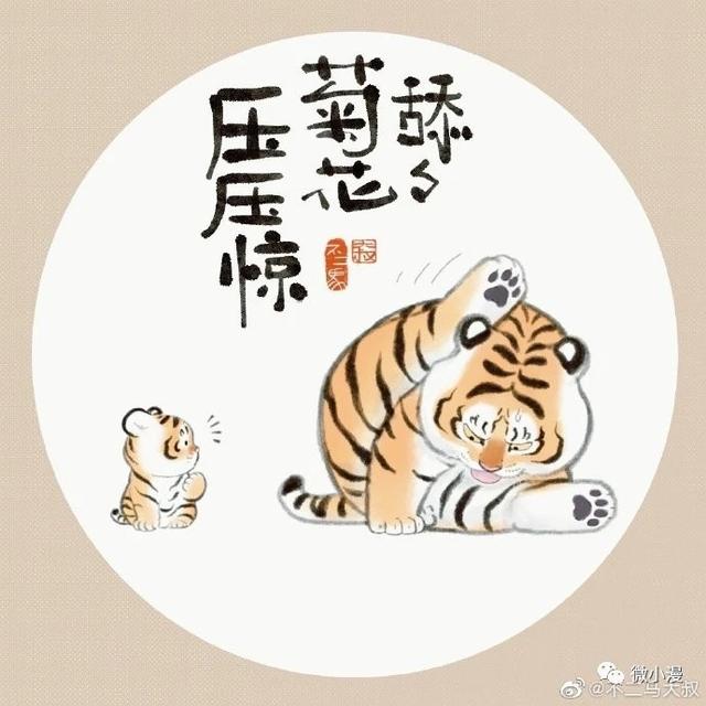 舔菊花,压压惊!