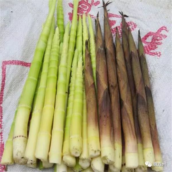 广宁土货深山竹笋