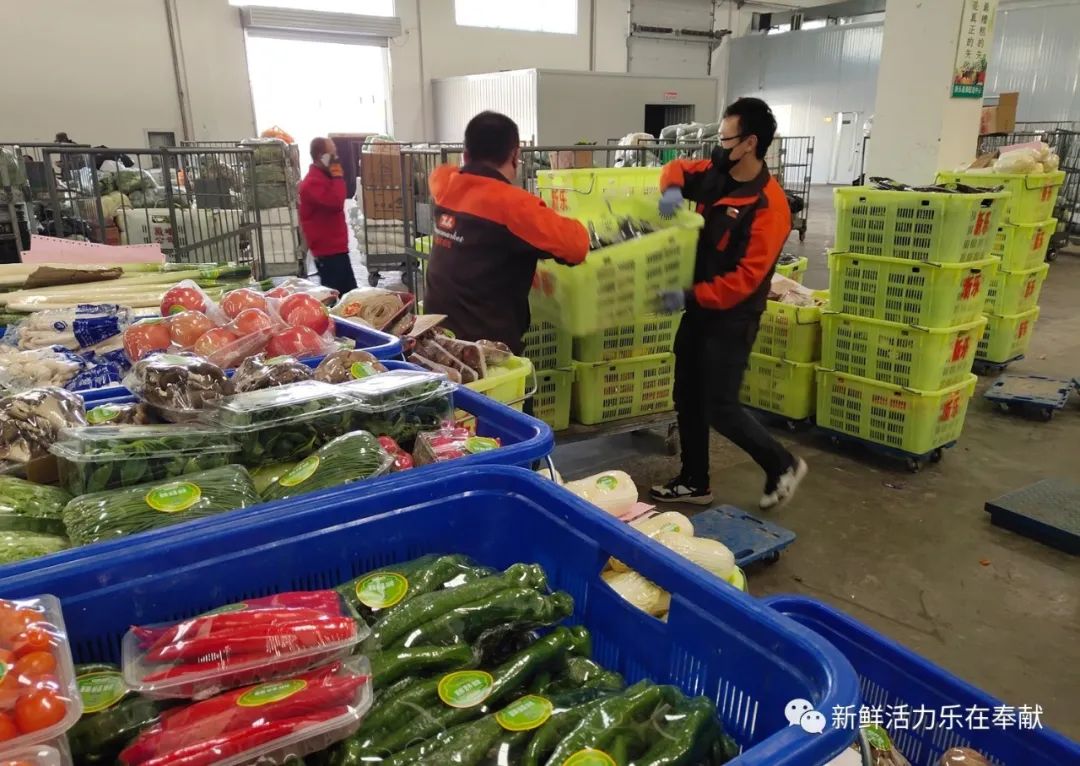 晚上6点,新乐蔬果车间拣货员开始将打包好的蔬菜搬上笼车,货运司机