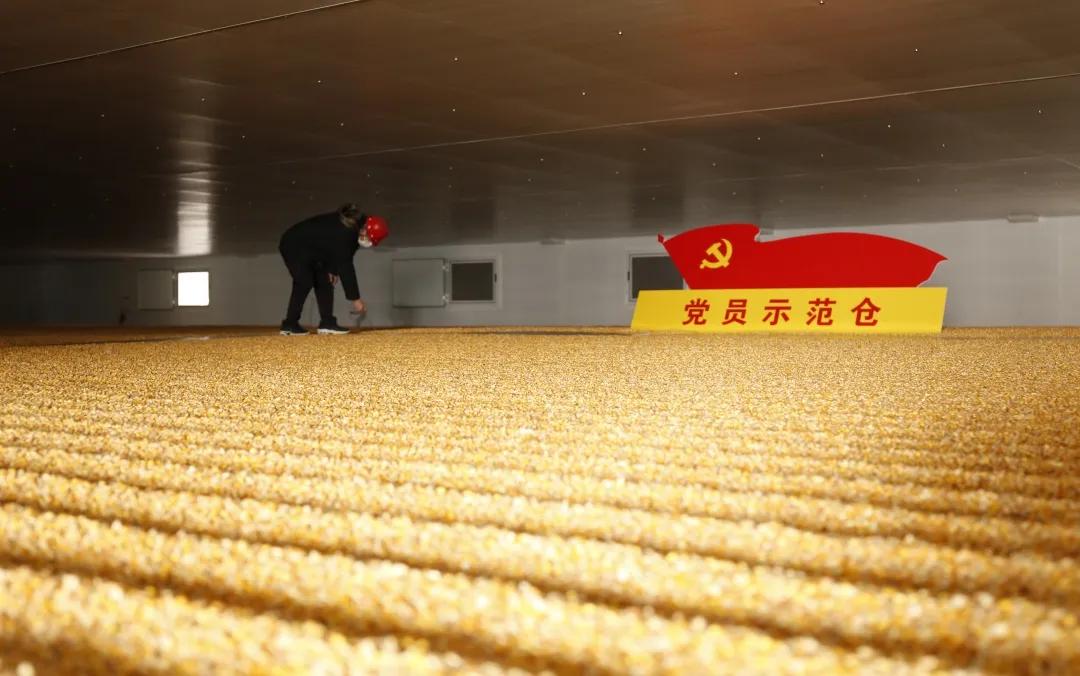 文艺作品暖人心中储粮人用独特的方式助力抗疫