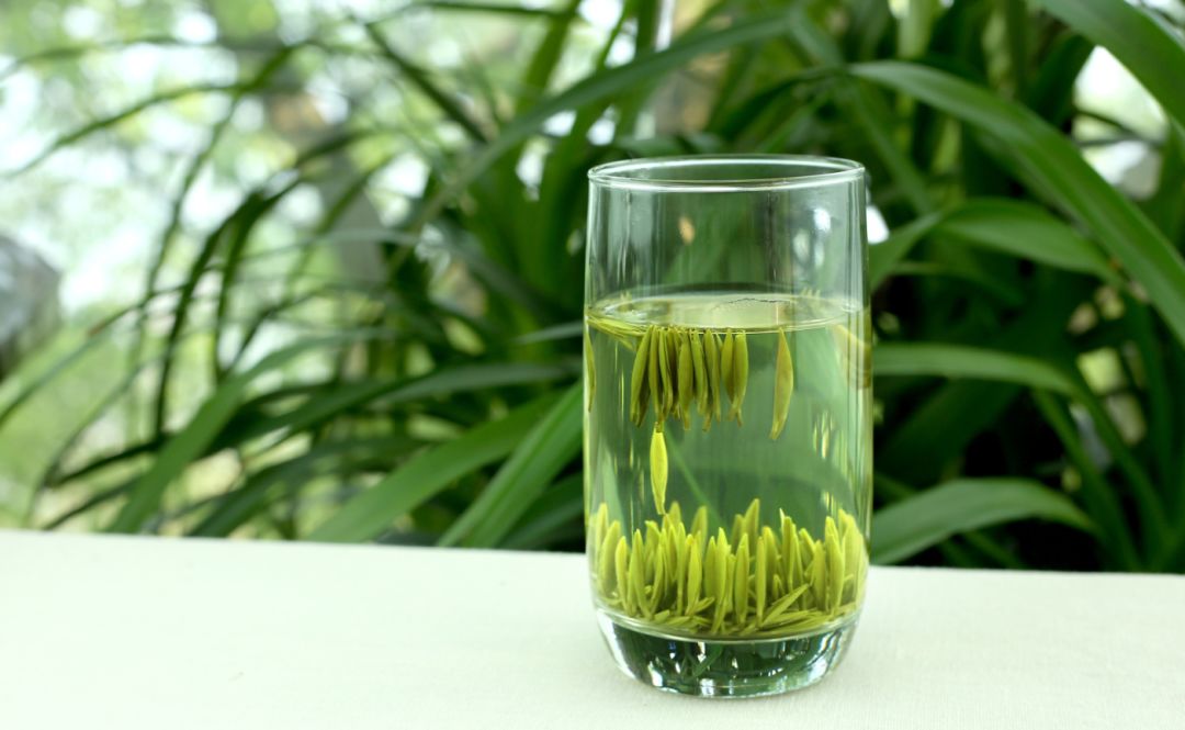 巴小妹探春第三站巴南定心茶园