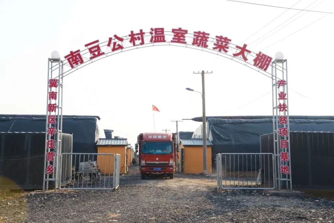 疫情防控不懈 产业扶贫不松_辛庄营乡