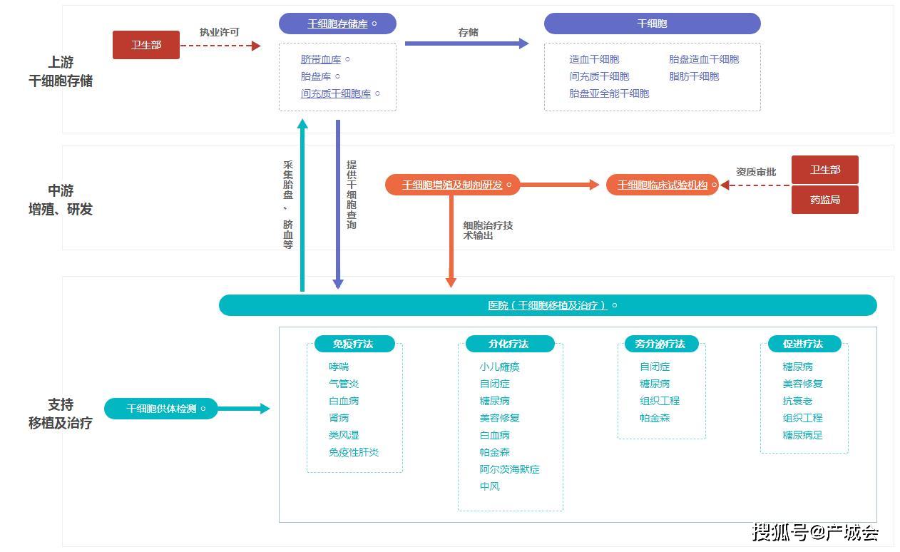干细胞增殖及制剂研发产业链研究报告