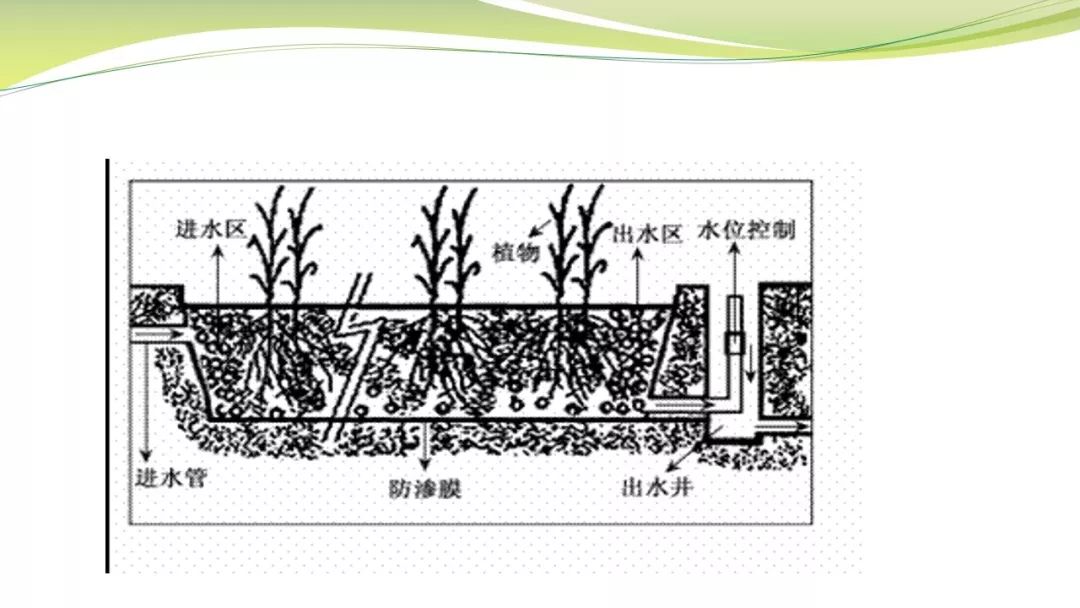 人工湿地生态修复技术