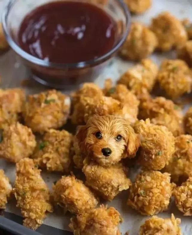 疯狂想念外卖把狗子看成了炸鸡