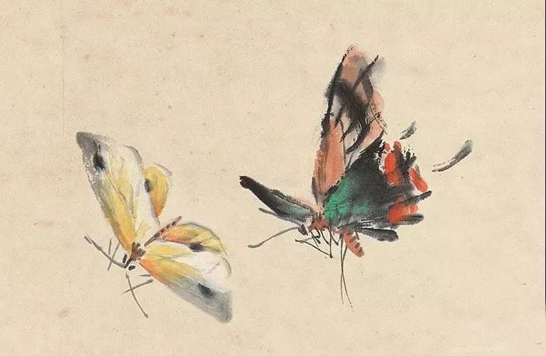 王雪涛讲画蝴蝶它的色彩决定于画面整体的
