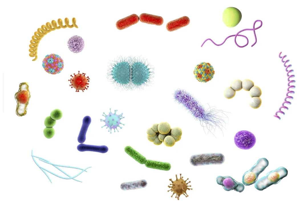 放p会传染病毒吗看清楚了起码要满足这两个条件