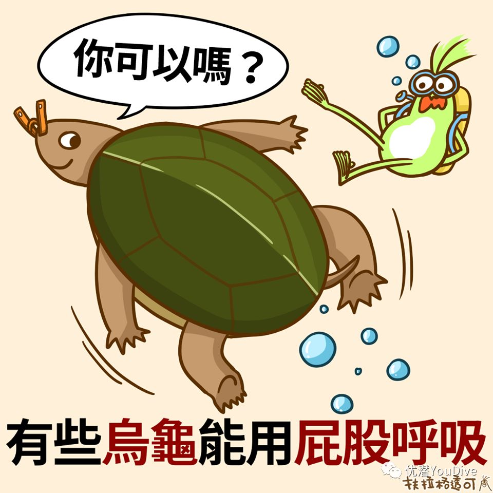 冷知识当别人嫌你屁多你要告诉他屁是有用的
