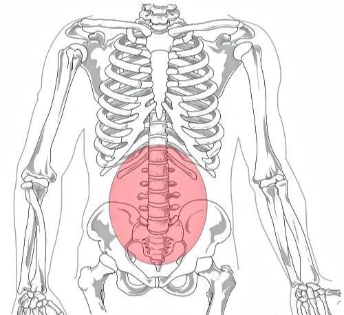 女性腰骶部位置图图片图片