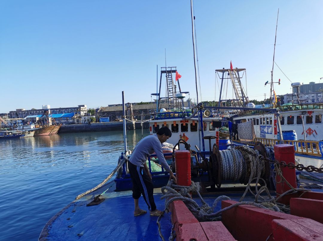 海城区266艘渔船安全有序出海!