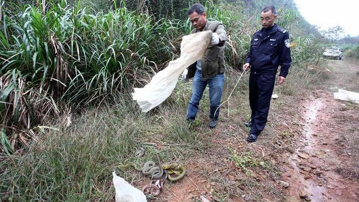 江西九江:非法捕猎濒危野生动物案开庭审理