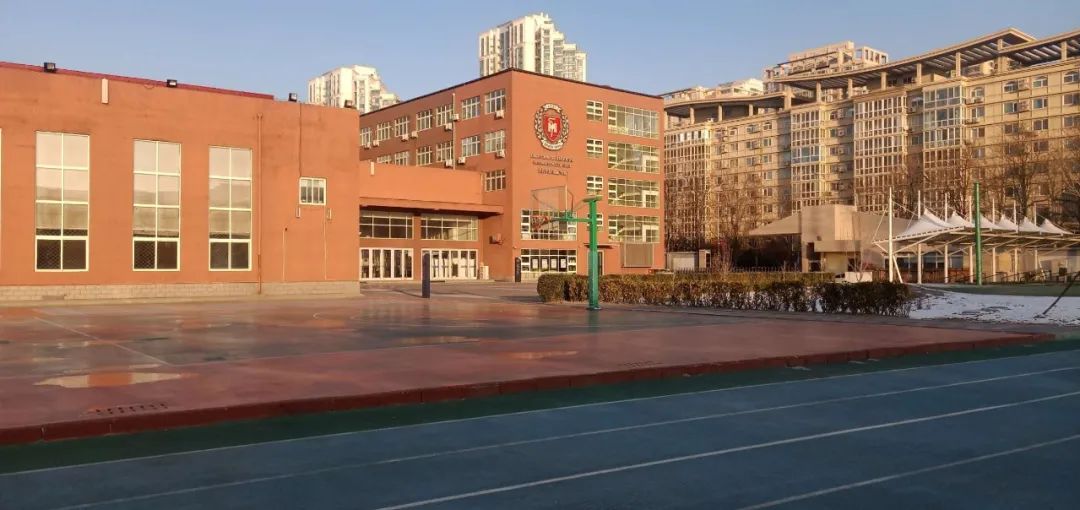 这个春天疫情让我们的心紧密相连力迈中美国际学校