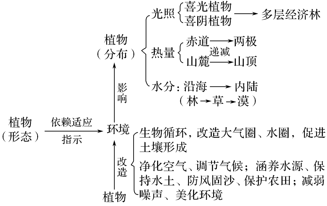 导致土壤有机酸含量增加