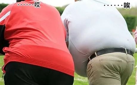 幽默:假期后一起胖成猪的我们