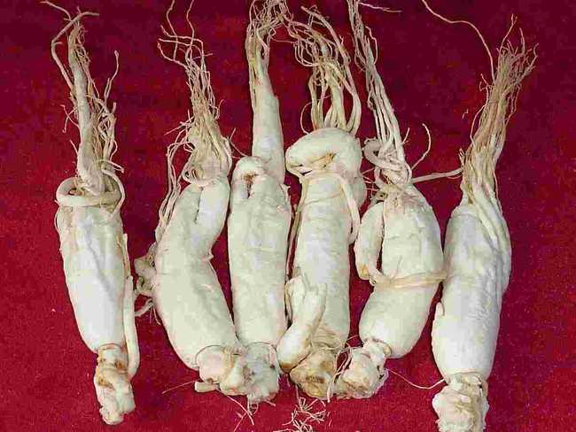 冬季养生怎么吃,高端养生,如何健康养生