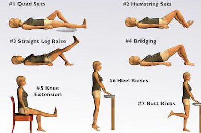 股四头肌位于大腿肌肉前方,是大腿最重要的肌肉群