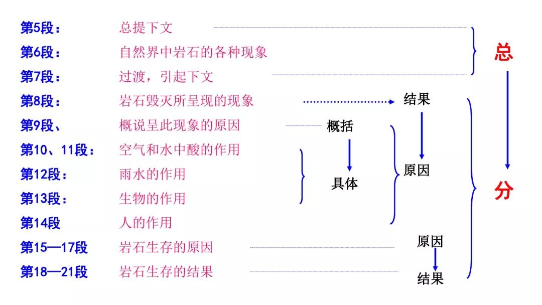 部编版八年级下册语文第8课《时间的脚印》知识点 图文解读 同步练习