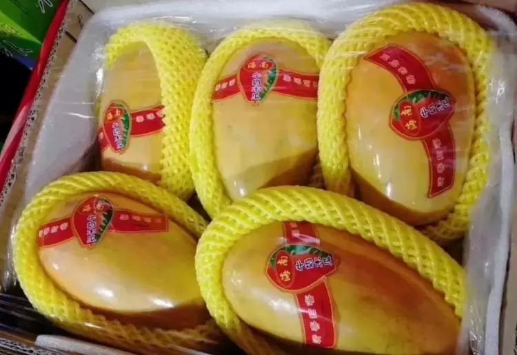 包邮丨精品哈达水果直送品种繁多新鲜可口宅家要多补充营养