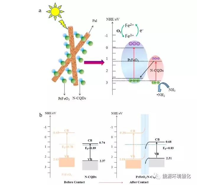 創新點:(1) 具有z體系結構的n-cqds/prfeo3異質結可以促進光生載磷佑