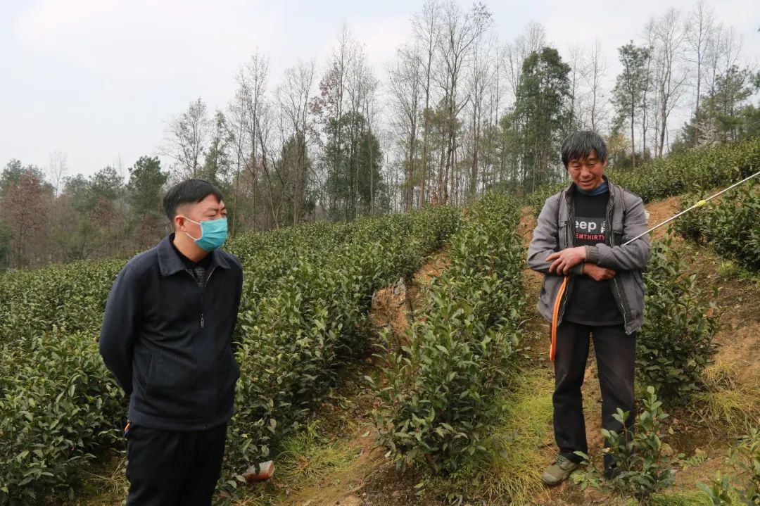 县委常委县纪委书记县监委主任旺卫到花山苗族乡督导春耕生产工作