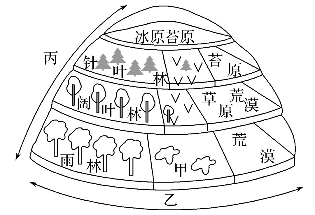 植被带模式图图片