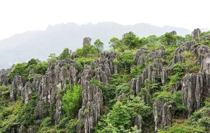 【地理拓展】典型岩溶地貌景觀成因你見過多少?