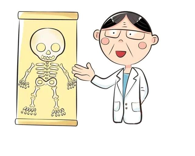 宝宝身体发育的那些小规律_脊柱