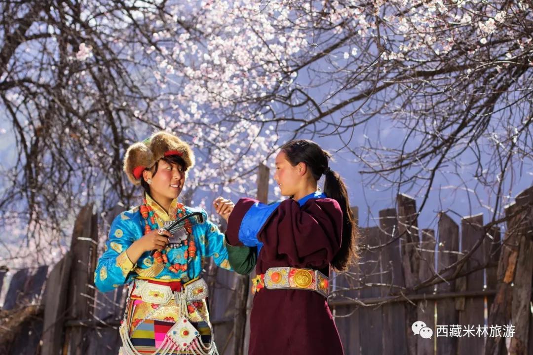 林芝请你云赏花疫情能关住我们但关不住春天