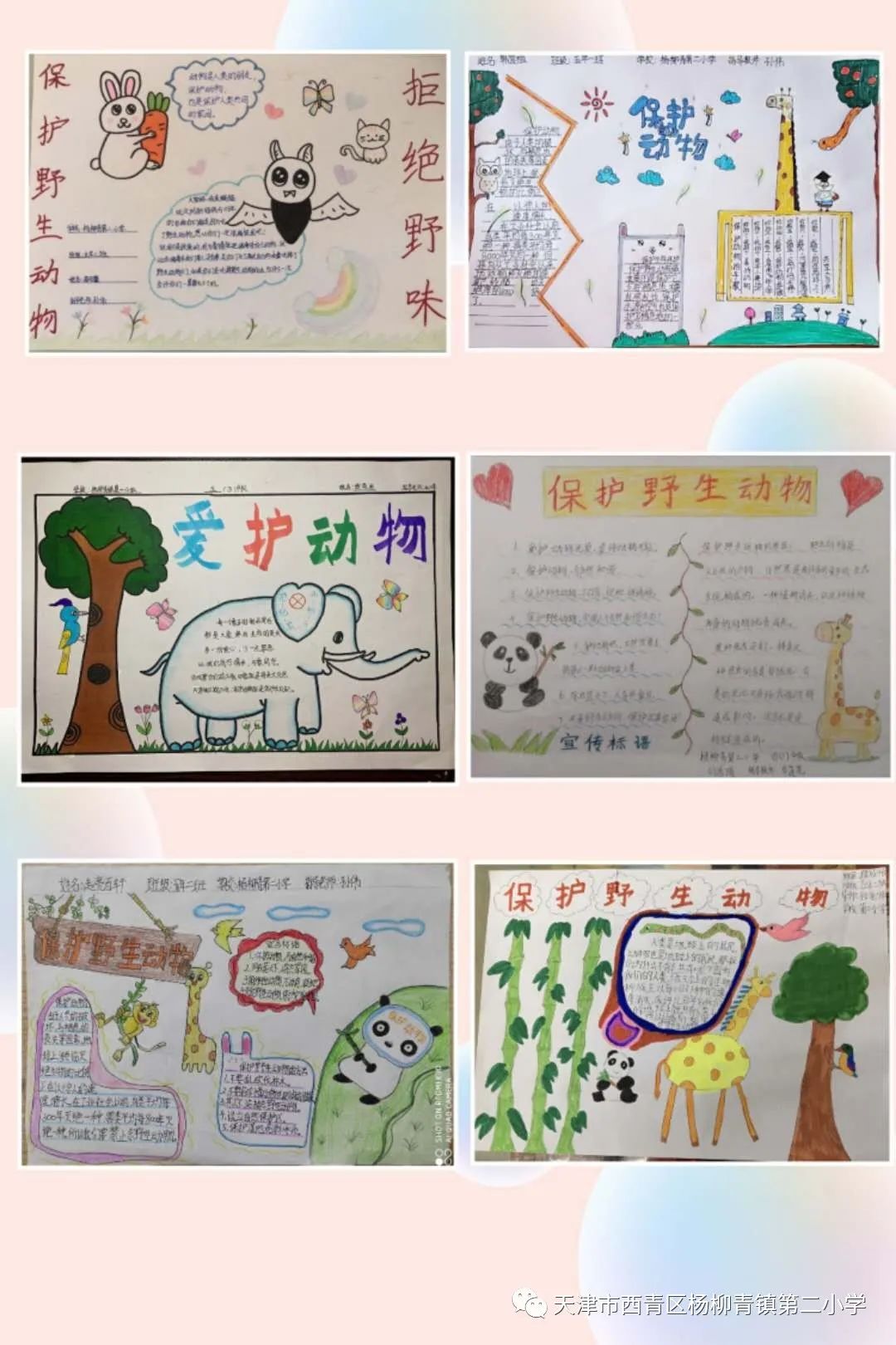 文明校园示范文明法制教育篇杨柳青镇第二小学保护野生动物从我做起一