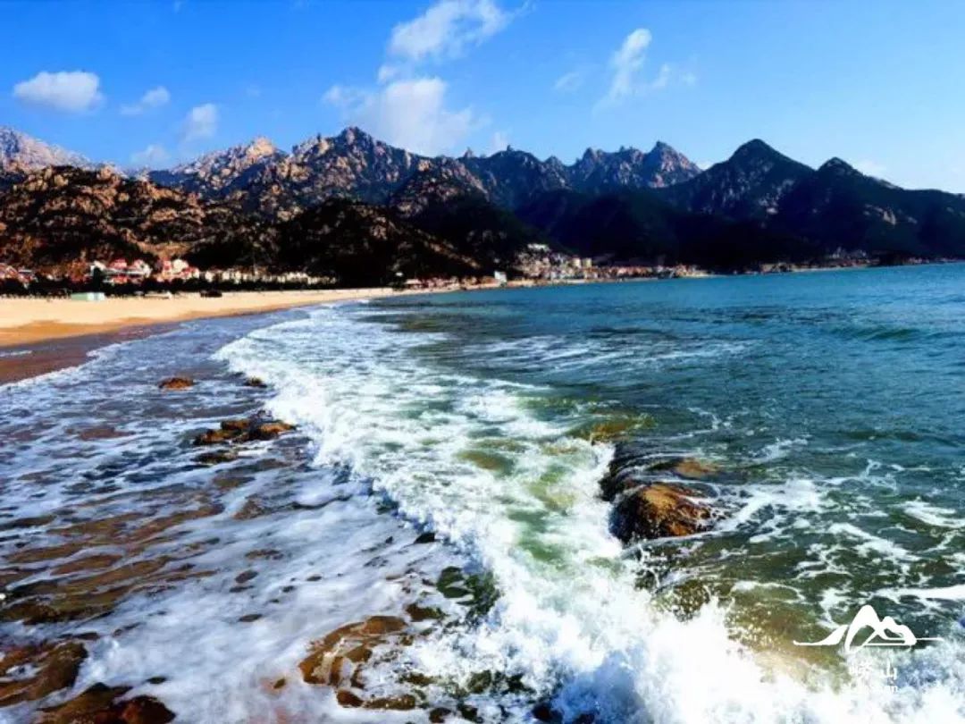 好客山东游我助力 | "疫"净花开,我们在崂山等你!_山海