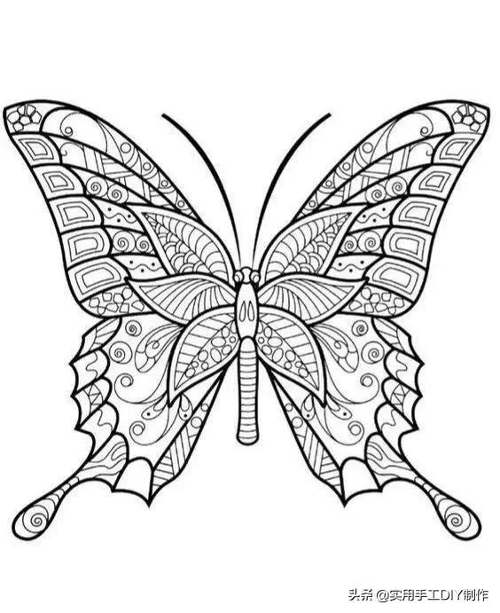 蝴蝶图案画法图片