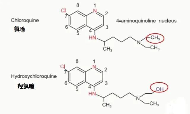 罕见奎尼丁样作用导致患者死亡的病例,而眼底病变的不良反应报告在