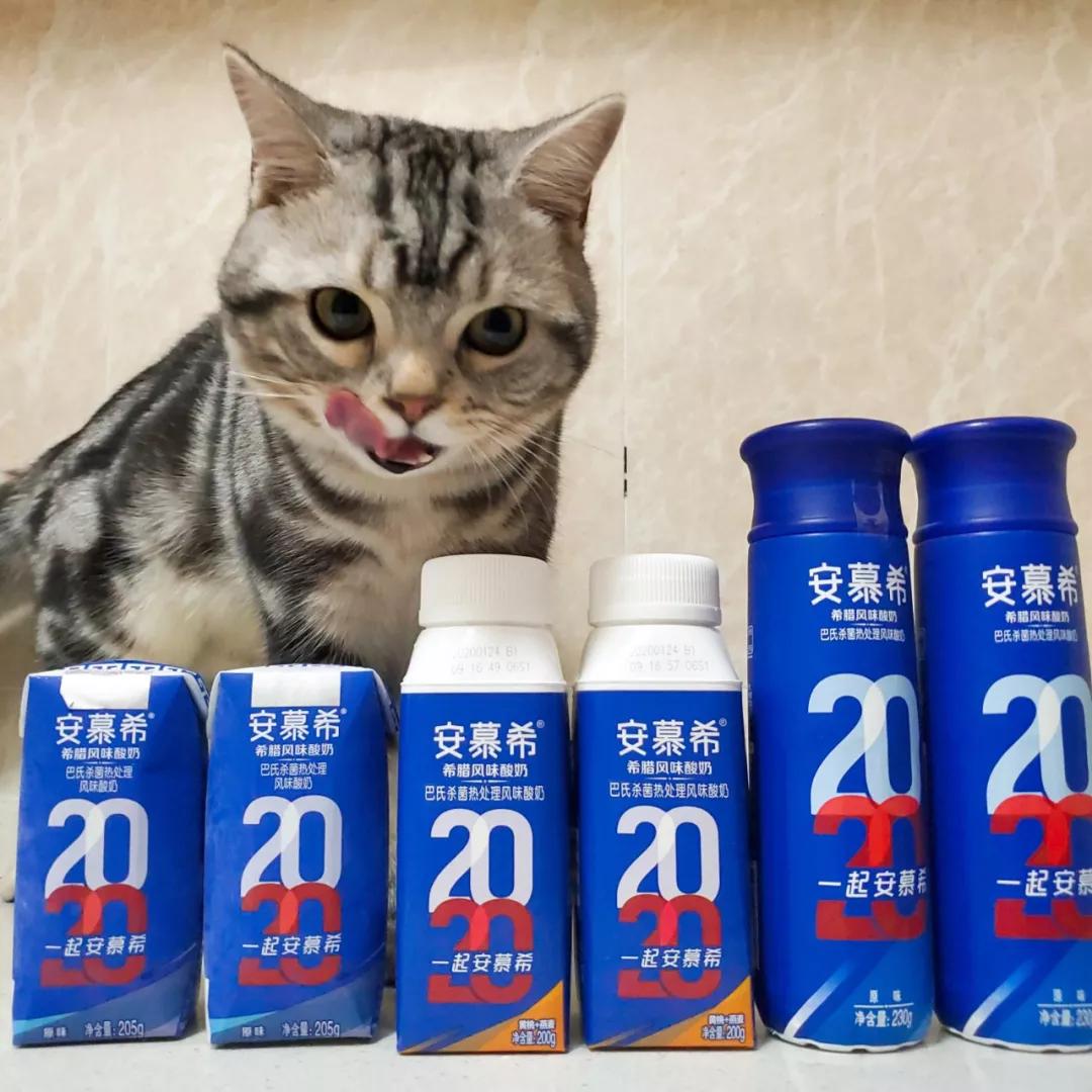 又又又馋哭了这次我用的3款安慕希,有2款都是原味——利乐钻和pet瓶