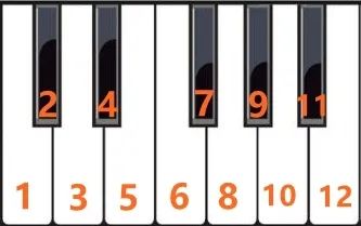 我们看到钢琴的一个八度中,有7个白键和5个黑键,一共是12个键.