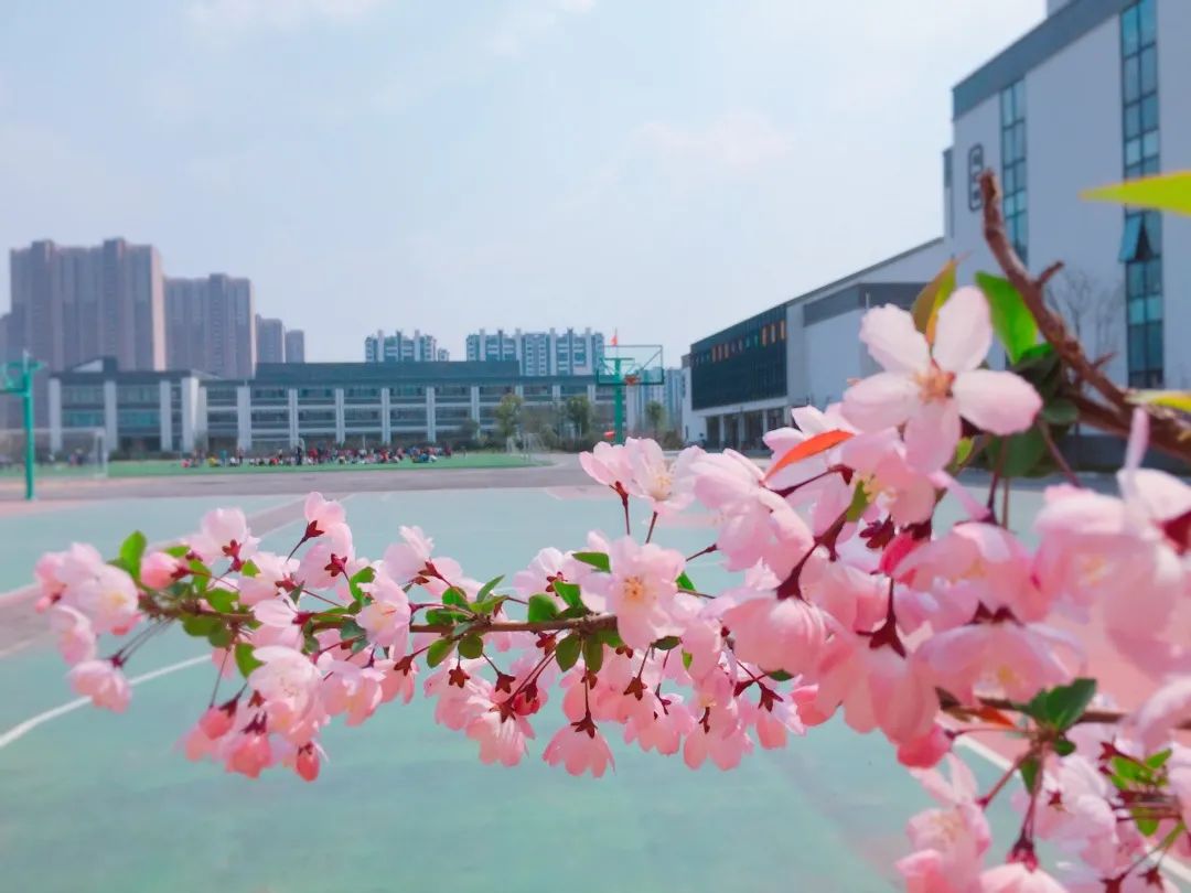 苏州大学实验学校渭塘中学望亭中学相城实验中学阳澄湖中学黄桥中学