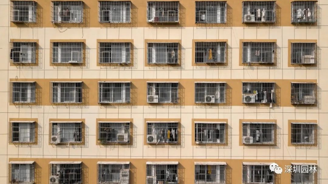 城中村更新融合科技新城氛围深圳城中村嬗变的坂田探索