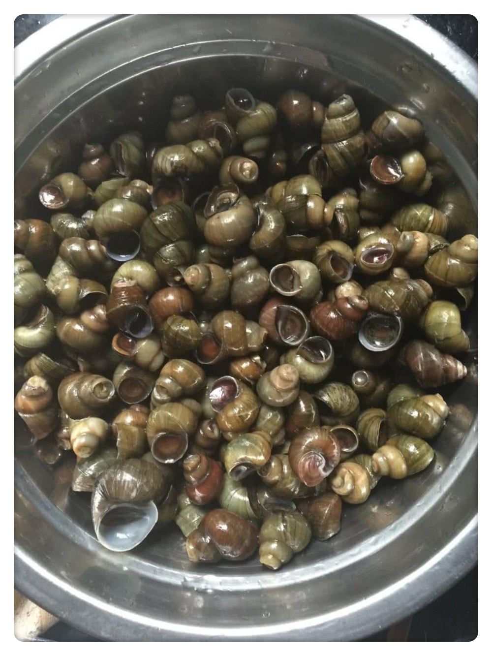 好久没吃螺狮鸡原来是这样做的味道真好吃了还想吃