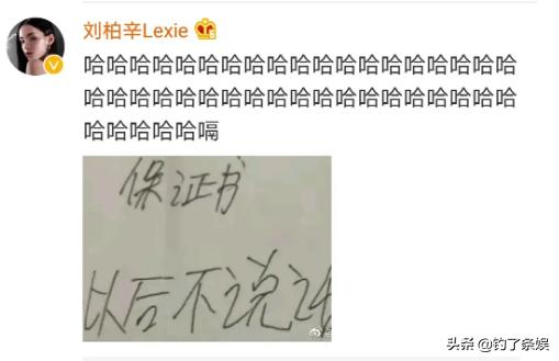 附图——保证书(我以后不说话了)