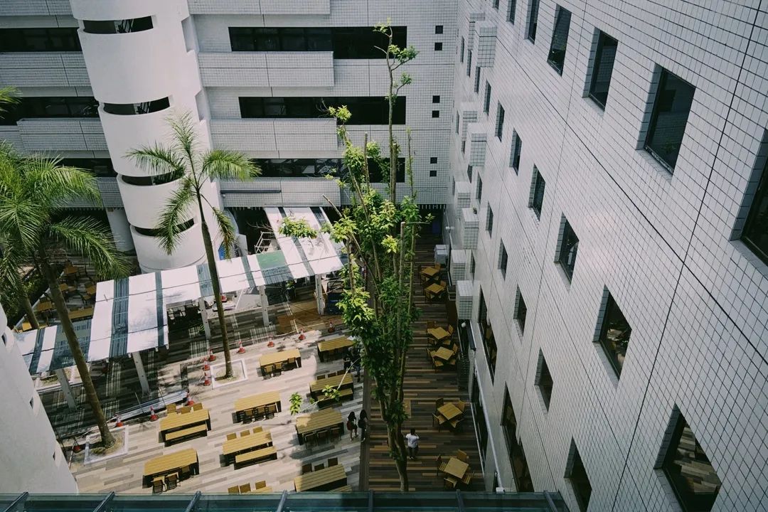 高清美图来袭香港科技大学求学实录