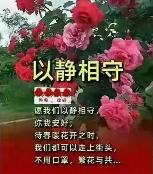 不用打字就可以聊天的图片