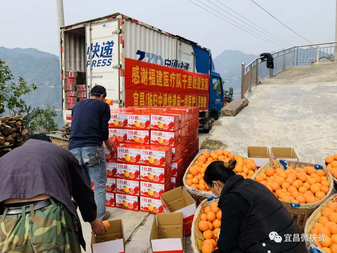 通过中国果品流通协会诚邀全国水果经销商帮助销售秭归脐橙,为运输