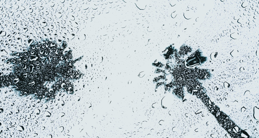 直播卖货热闹背后的家电乱象再起：低价泛滥、骚扰用户、透支信任-家电圈官网