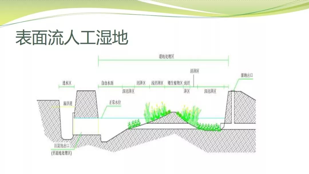 人工湿地生态修复技术