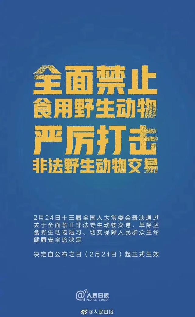 全面禁食野生动物要把握好哪些界限?法工委相关负责人释疑