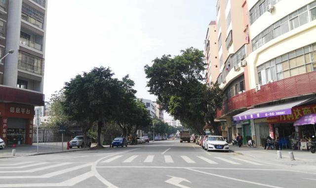 坐车经过江门江海区路上随拍,你来过这座城市吗?