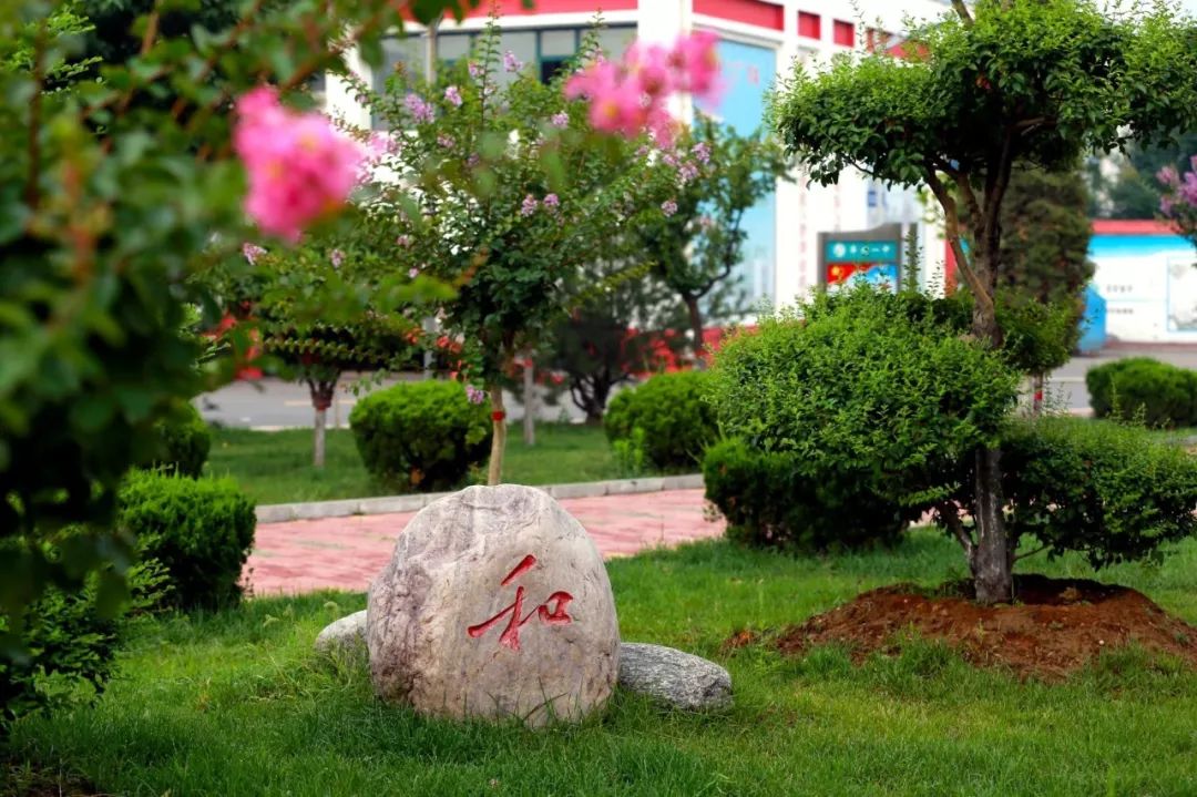 科学抗疫健康先行泽州一中教师带你共度疫关