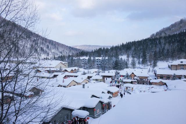 钟南山谈黑龙江疫情对高寒地区病亡率要科学分析