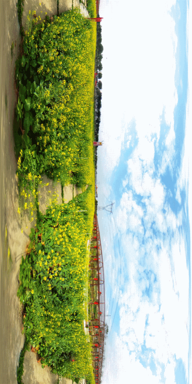 640_1280竖版 竖屏gif 动态图 动图