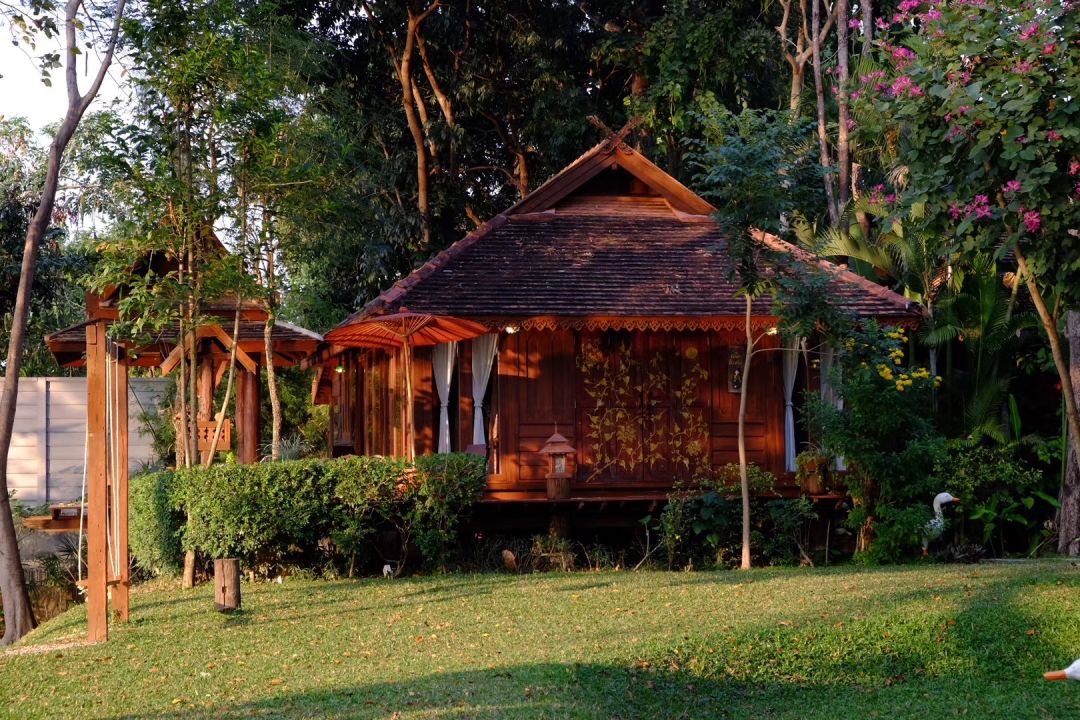 「因为疫情,我在泰国住了一个月,结果……」